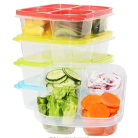 Compartment Plastic Divided Food Storage Container Boxes for Kids and adults